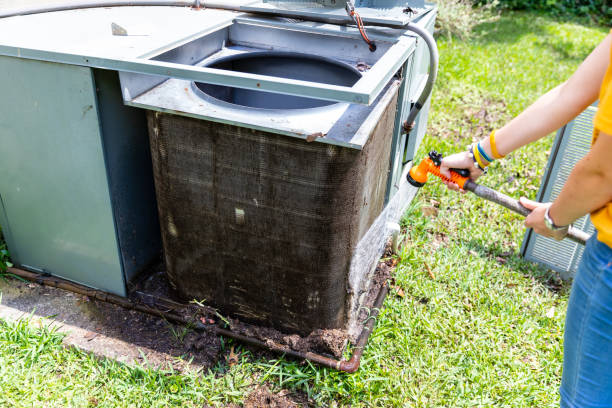 Best Professional Duct Cleaning Services  in San Benito, TX